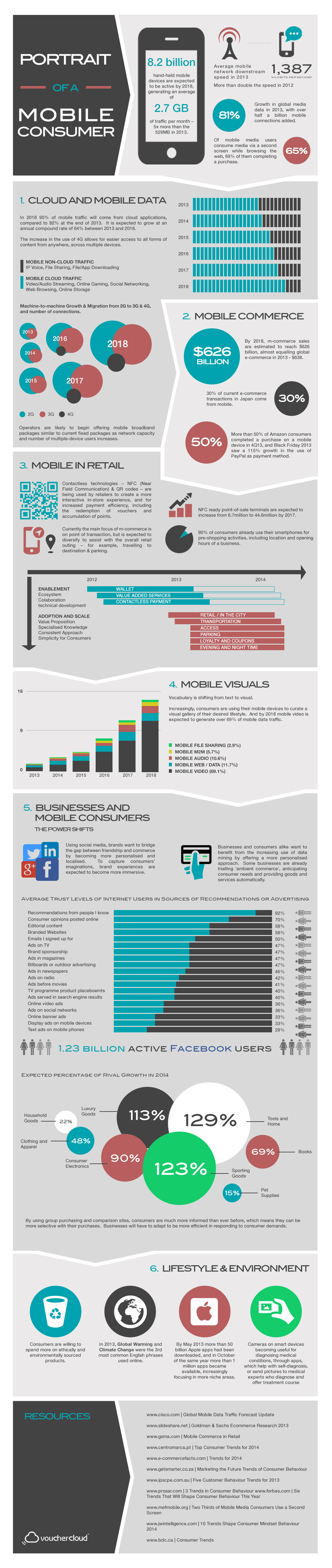 Portrait of a Mobile Consumer Infographic
